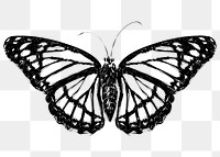 Png Monarch butterfly  animal illustration, transparent background