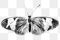 Png Sapho Longwing butterfly  animal illustration, transparent background