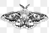 Png Emperor moth  animal illustration, transparent background