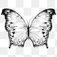 Png beautiful butterfly  animal illustration, transparent background