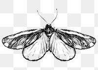 Png Cinnabar moth  animal illustration, transparent background