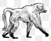 Png Baboon walking  animal illustration, transparent background