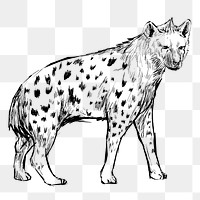 Png hyena walking  animal illustration, transparent background