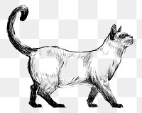 Png Siamese cat  animal illustration, transparent background