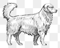 Png Golden Retriever  animal illustration, transparent background