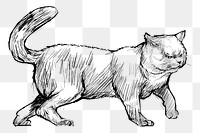 Png Chartreux cat  animal illustration, transparent background