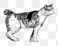 Png Japanese Bobtail cat  animal illustration, transparent background