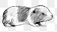 Png hamster sketch  animal illustration, transparent background