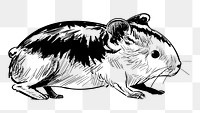 Png Guinea pig animal illustration, transparent background