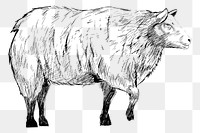 Png Sheep sketch  animal illustration, transparent background