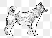 Png Akita dog  animal illustration, transparent background