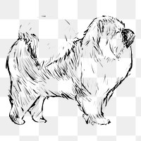 Png Chow Chow dog  animal illustration, transparent background