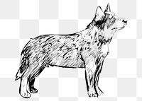 Png Cattle dog  animal illustration, transparent background