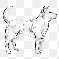 Png Pitbull dog  animal illustration, transparent background