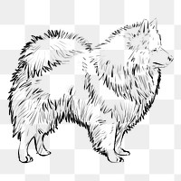 Png Spitz dog  animal illustration, transparent background