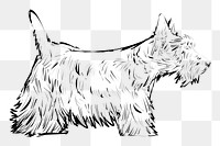 Png Scottish Terrier dog  animal illustration, transparent background