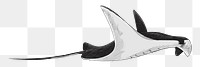 Png black Stingray  animal illustration, transparent background