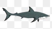 Png Great White Shark  animal illustration, transparent background