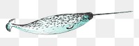 Png Narwhal  animal illustration, transparent background