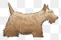 Png Scottish Terrier dog  animal illustration, transparent background