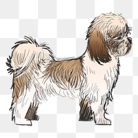 Png Shih Tzu dog  animal illustration, transparent background