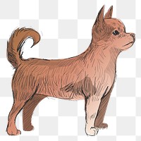 Png Chihuahua dog  animal illustration, transparent background