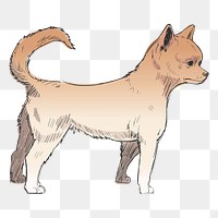 Png Chihuahua dog  animal illustration, transparent background