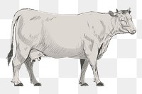Png domestic cow  animal illustration, transparent background