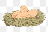 Png eggs nest  animal illustration, transparent background