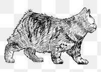 Png Manx cat  animal illustration, transparent background