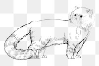 Png Himalayan cat  animal illustration, transparent background