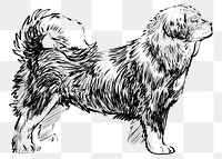 Png Tibetan Mastiff dog  animal illustration, transparent background