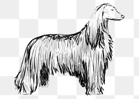 Png Afghan Hound dog  animal illustration, transparent background