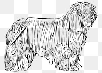 Png Briard dog  animal illustration, transparent background