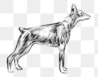 Png Doberman Pinscher dog  animal illustration, transparent background