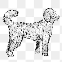 Png furry dog  animal illustration, transparent background