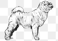 Png Shar Pei dog  animal illustration, transparent background