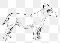 Png Bull Terrier dog  animal illustration, transparent background