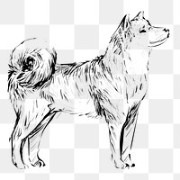 Png Shiba dog  animal illustration, transparent background