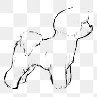 Png Bichon Frise dog  animal illustration, transparent background