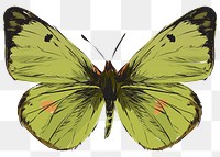 Png green butterfly  animal illustration, transparent background