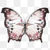 Png Pastel butterfly  animal illustration, transparent background