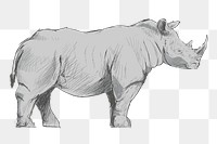 Png gray Rhinoceros  animal illustration, transparent background