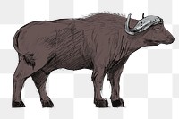 Png gray buffalo  animal illustration, transparent background