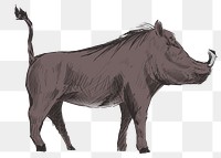 Png wild warthog  animal illustration, transparent background
