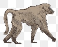 Png Baboon walking  animal illustration, transparent background