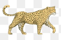 Png yellow leopard  animal illustration, transparent background