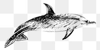 Png Dotted dolphin  animal illustration, transparent background