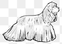 Png Spaniel dog  animal illustration, transparent background