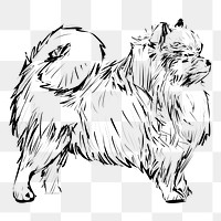 Png Pomeranian dog  animal illustration, transparent background